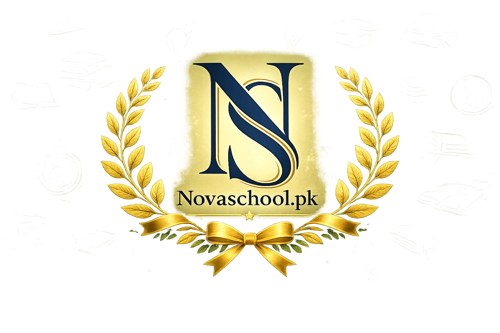 Nova School logo