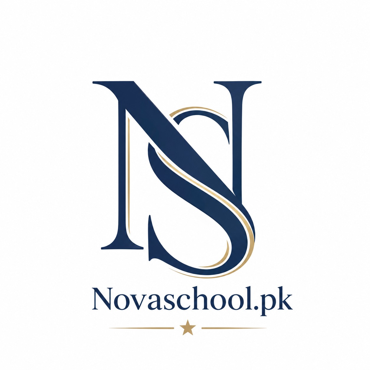 Nova School logo